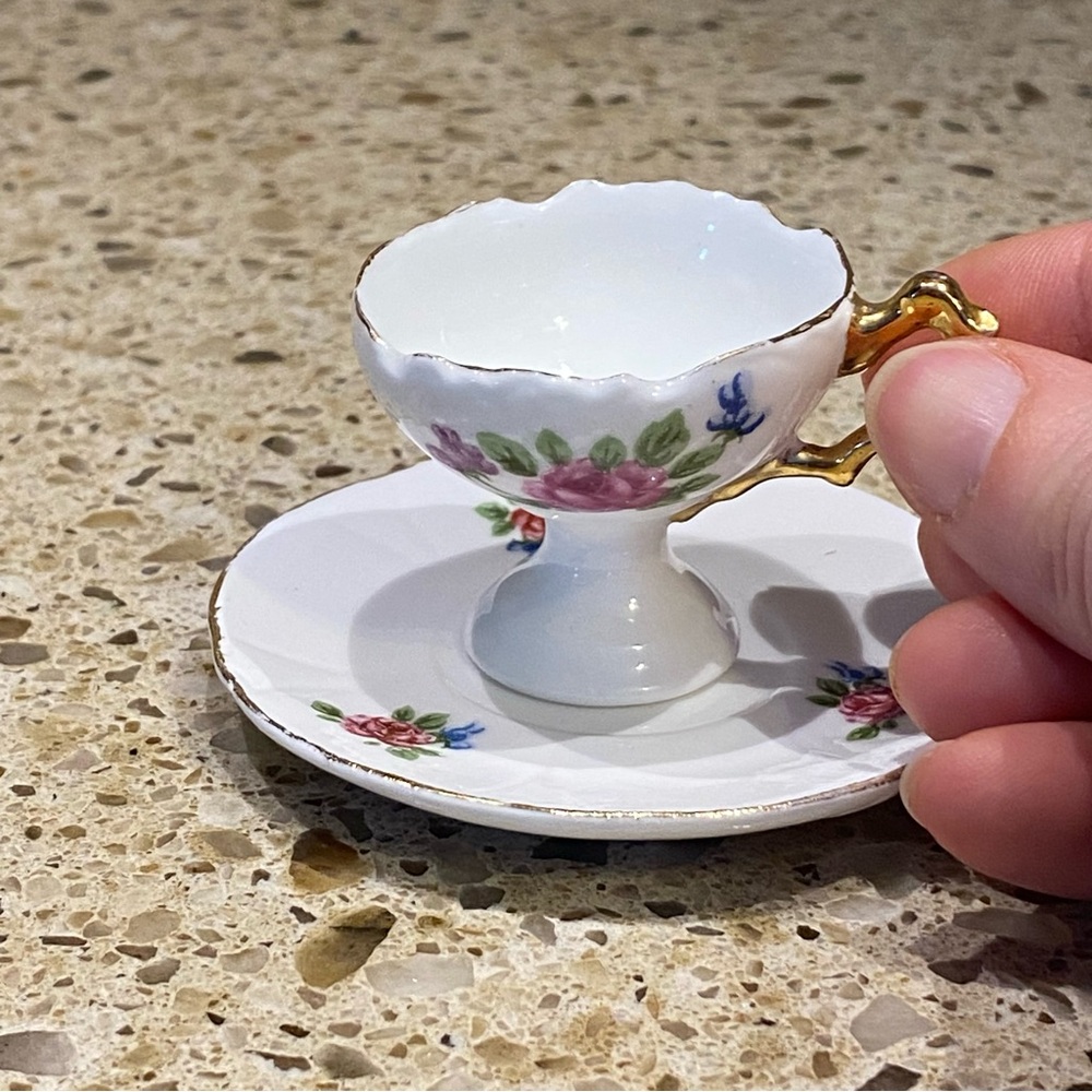 Mini Rose Floral Tea Cup & Saucer Bone Victoria China Japan